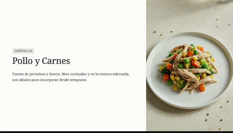 Página interior del ebook: capítulo 10, Pollo y carnes